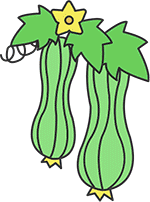 へちま