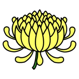 き