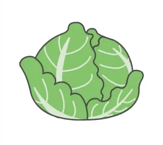 きゃべつ
